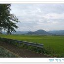 삼릉종가