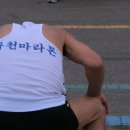 멍멍이 클럽 Daum카페