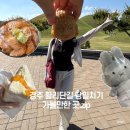 신길역 1호선 옆 공영주차장 내 | 황리단길 평일 당일치기 코스 (이치니산도 석굴암미피 경주얼굴빵 캐리커쳐 가주향배 공영주차장)