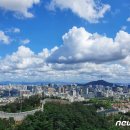 푸른하늘 뉴스1