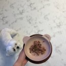 화식농장2 이미지