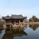 읍천1리 이미지