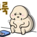 다함께 점핑점핑 이미지