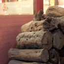 덕은축산 | 일산 맛집 베이징코야 일산점 베이징덕 솔직후기