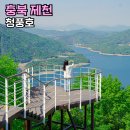 사계절아이스크림할인마켓 | 제천 청풍호 청풍호반 케이블카 비봉산 전망대