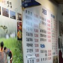 [맛집/합정] 지리산 어탕국수 후기