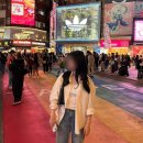 홍루 | 대만 타이베이 부모님과 여행 첫날 코스 추천, 중정기념당 서문홍루 용산사