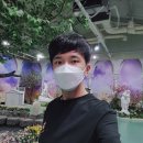 제주도 5박6일 나홀로 여름휴가 여행 후기 4일차