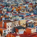 YM행정사 이미지