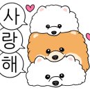 펫츠다이닝(pet's dining) 네이버블로그