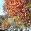 청학동(도인촌) 이미지