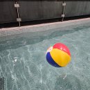 브라운도트 경주양남 이미지