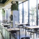 현대애견 이미지