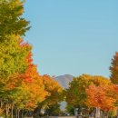 아시아게임랜드 | [경기도] 하남 가볼만한 곳 추천 TOP 10