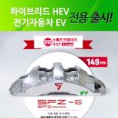 스톨츠 이미지