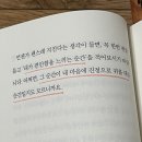 케렌시아라는 말 아시나요? 이미지