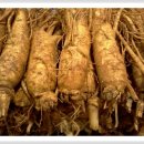 풍기인삼시장 이미지