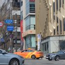 강남-297 이미지