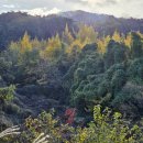 수종목장 이미지