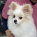 깍고밀고이발 이미지