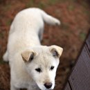 익금해수욕장2 이미지