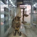 한림동물병원 이미지