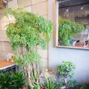 에슬로우 - 서초구 반포대로14길 58 | 에슬로우