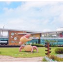 무안황토갯벌랜드 전시실 이미지