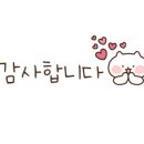 뷰티인마인
