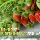 법인클라우드베리 이미지