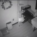 포레스트 캣호텔 이미지