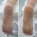 레푸스 태릉입구역 이미지