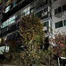 서일아파트 | 종로구)창신쌍용2단지아파트 임장 주관적 후기