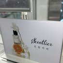 블라썸잉글리시 | 센틀리에매장 무신사메가스토어성수에서 만난 퍼퓸향수추천 오렌지블라썸 토스카나 시향 후기