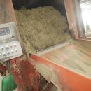 벌말목장 이미지