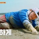 베테랑일꾼들