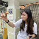 씨유 경주내남점 | 2박2일(?) 경주여행