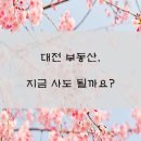 신일부동산중개 | 대전 부동산, 지금 사도 될까요?