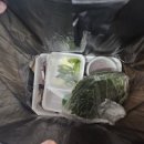 천안 농수산물도매시장 가을 전어 시세 77번 그린수산