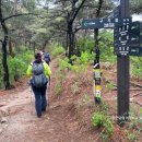 향림사 | 북한산 비봉 코뿔소 산행