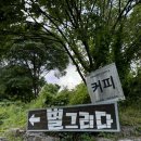 별그리다펜션 이미지