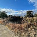 수산리-4 이미지