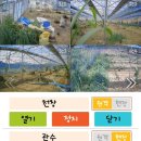 조*열 - 합천군 내동아막길 21-24 | 조*열