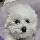 소중하냥 이미지