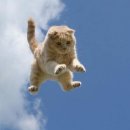 해피모아 신발 이미지