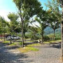 파인힐빌리지 캠핑장 이미지