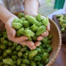 방일농장 이미지