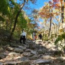 산호식당 | [직접다녀온] 포천 명성산 억새 꽃축제 후기!(등산 소요시간, 개화상황), 산정호수 산호식당 솔직후기