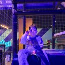 참피온키즈태권도 이미지