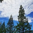 월호평길 이미지